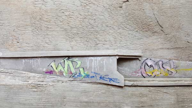 Wibke Rahn